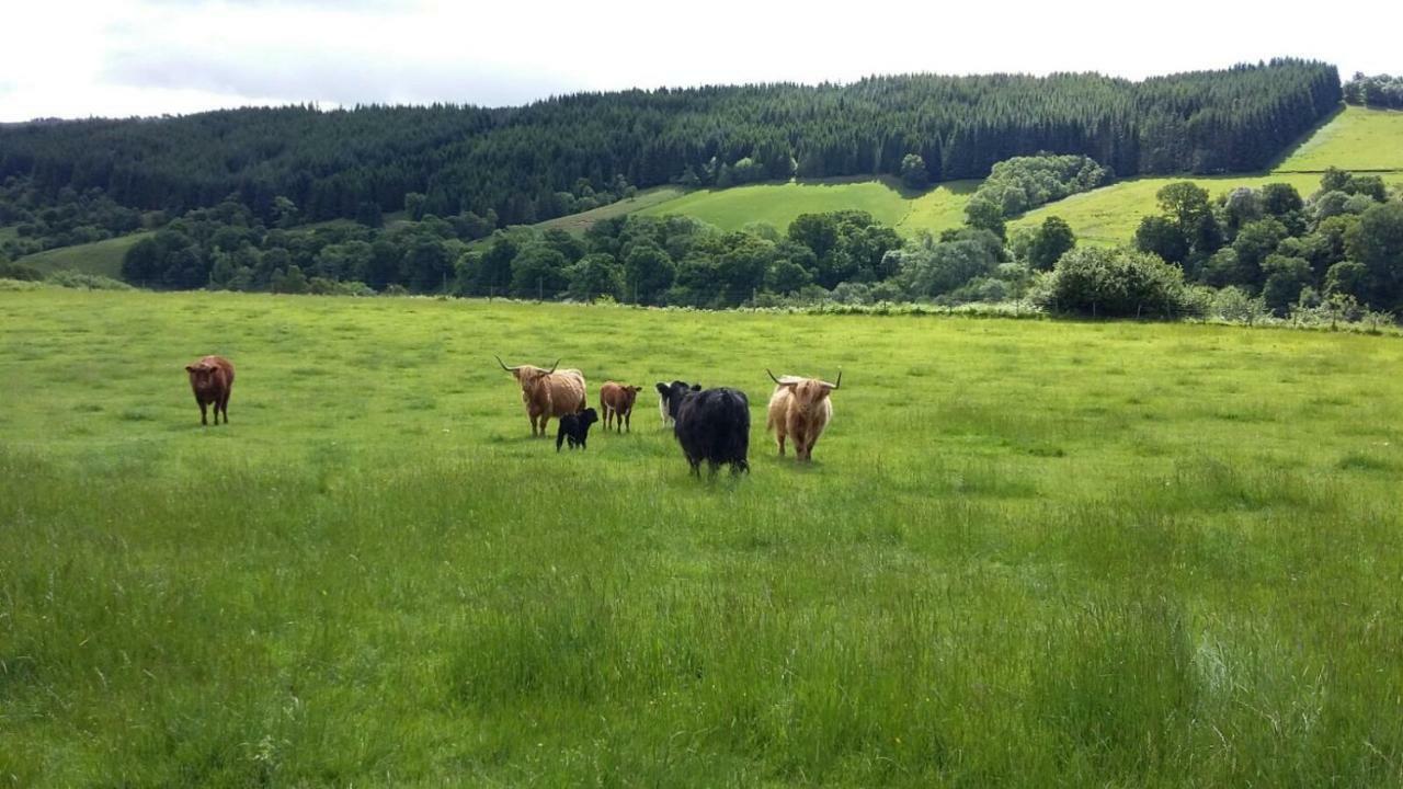 Loch Ness B And B Inverness Exteriör bild